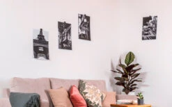 Gancho Magnético Silwy Flex Incl. Almohadillas Metálicas De Nano Gel De 5 Cm. 8 Pcs. Negro -Hogar General Tienda 336857 2526568