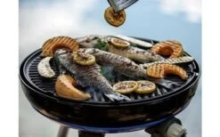 Barbacoa Cadac Carri Chef 50 -Hogar General Tienda 511064 3571555