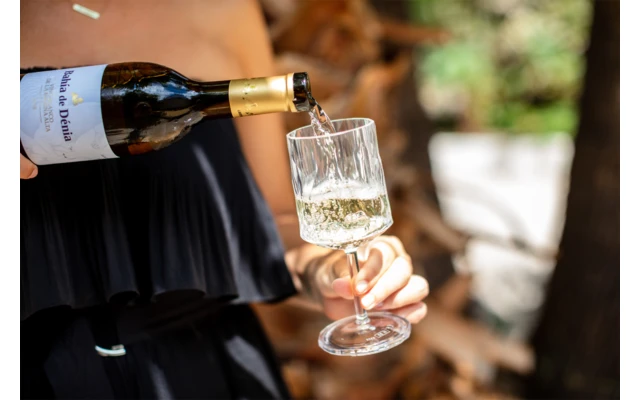 Juego De 2 Copas De Vino Berger 5 Juego De 2 Copas De Vino Berger - Imagen 3