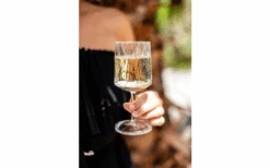 Juego De 2 Copas De Vino Berger 9 Juego De 2 Copas De Vino Berger -Hogar General Tienda 690069 4697631